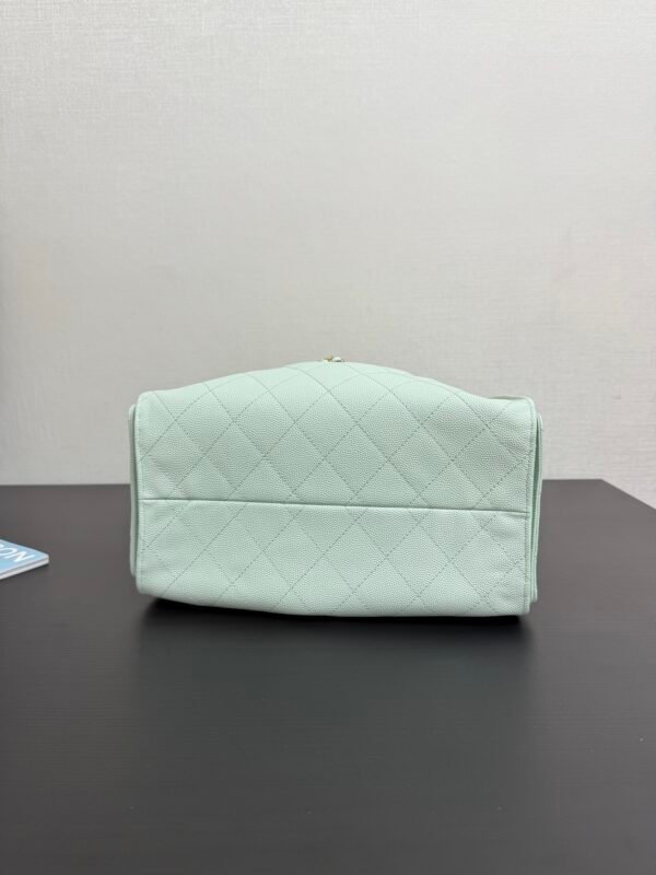 CHANEL 25 small handbag