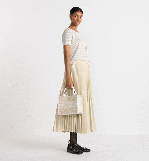 Small Dior Book Tote