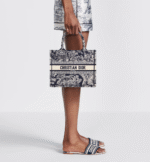 Small Dior Book Tote
