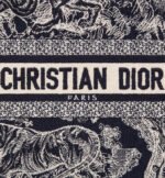 Small Dior Book Tote
