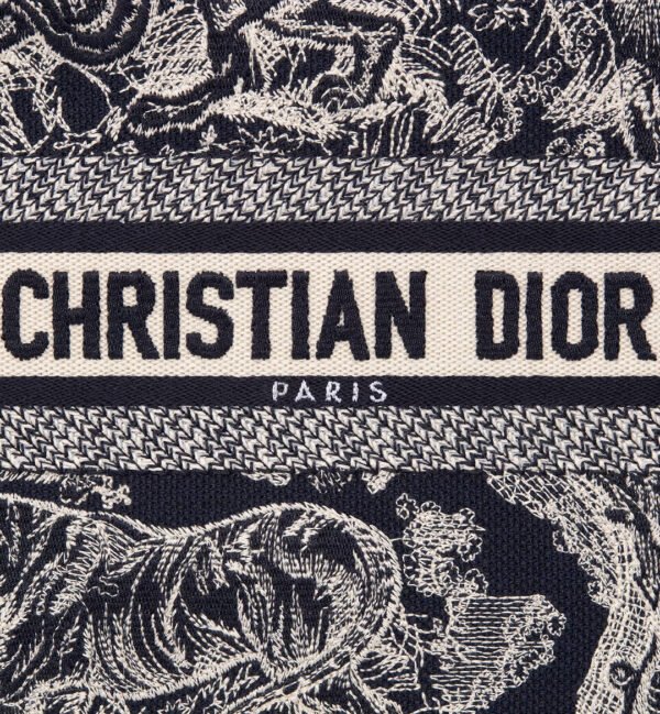 Small Dior Book Tote