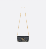 Miss Caro Pouch with Chain