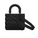 Small Lady Dior My ABCDior Bag