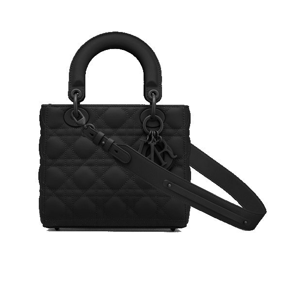 Small Lady Dior My ABCDior Bag